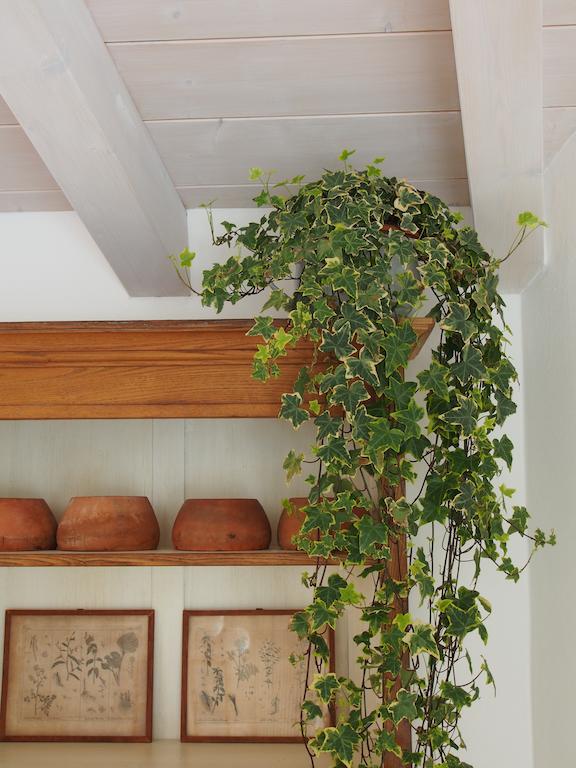 Casa Del Pittore โรเวเรโต ภายนอก รูปภาพ